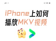 如何在iPhone上播放MKV文件？