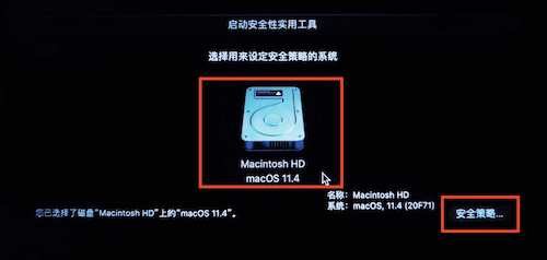 Omi NTFS磁盘-安全策略